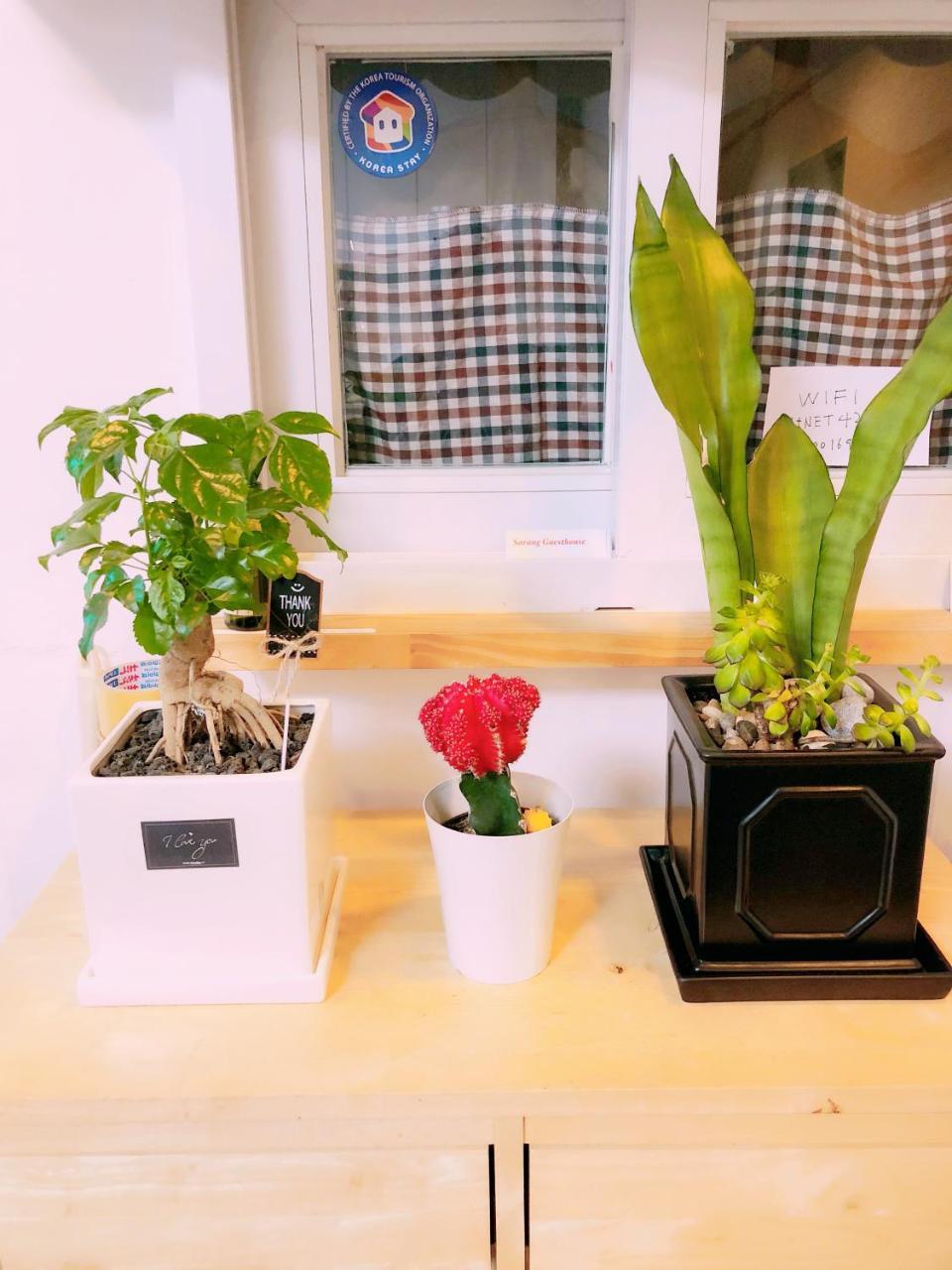 Sarang Guesthouse Dongdaemun Seul Zewnętrze zdjęcie
